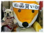 �t�����`�u���h�b�O�i�t���u���j�摜
