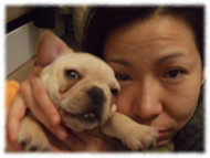 �t�����`�u���h�b�O�i�t���u���j�摜