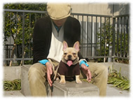 �A�g�X���L�摜