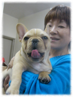 �t�����`�u���h�b�O�i�t���u���j�摜