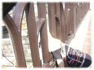 �A�g�X���L�摜