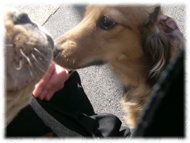 �A�g�X���L�摜