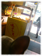 �t�����`�u���h�b�O�i�t���u���j�摜