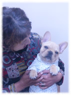 �A�g�X���L�摜