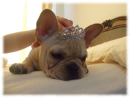 �A�g�X���L�摜