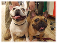 �A�g�X���L�摜