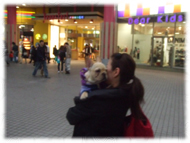 �t�����`�u���h�b�O�i�t���u���j�摜