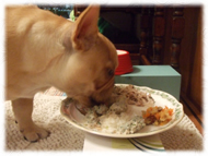 �A�g�X���L�摜