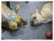 �A�g�X���L�摜