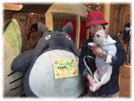 �t�����`�u���h�b�O�i�t���u���j�摜