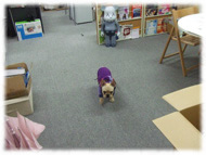 �t�����`�u���h�b�O�i�t���u���j�摜