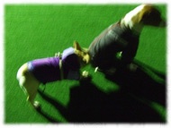 �t�����`�u���h�b�O�i�t���u���j�摜