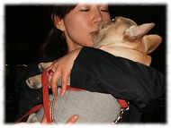 �t�����`�u���h�b�O�i�t���u���j�摜