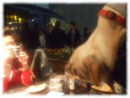 �t�����`�u���h�b�O�i�t���u���j�摜