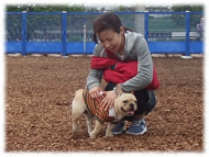 �t�����`�u���h�b�O�i�t���u���j�摜