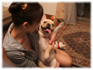 �t�����`�u���h�b�O�i�t���u���j�摜