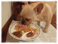 �t�����`�u���h�b�O�i�t���u���j�摜