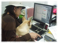 �t�����`�u���h�b�O�i�t���u���j�摜