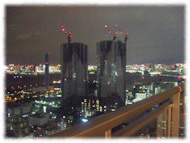 �t�����`�u���h�b�O�i�t���u���j�摜