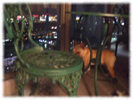 �t�����`�u���h�b�O�i�t���u���j�摜