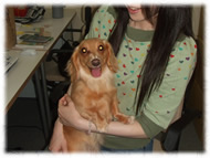 �t�����`�u���h�b�O�i�t���u���j�摜