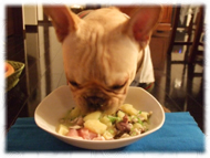 �t�����`�u���h�b�O�i�t���u���j�摜