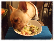 �t�����`�u���h�b�O�i�t���u���j�摜