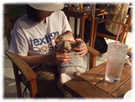 �t�����`�u���h�b�O�i�t���u���j�摜