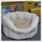 �y�b�g�o�b�O��