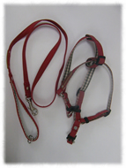 �y�b�g�o�b�O��