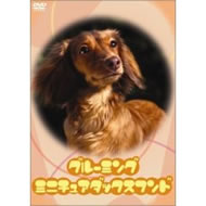 �~�j�`���A�_�b�N�X�t���h�摜